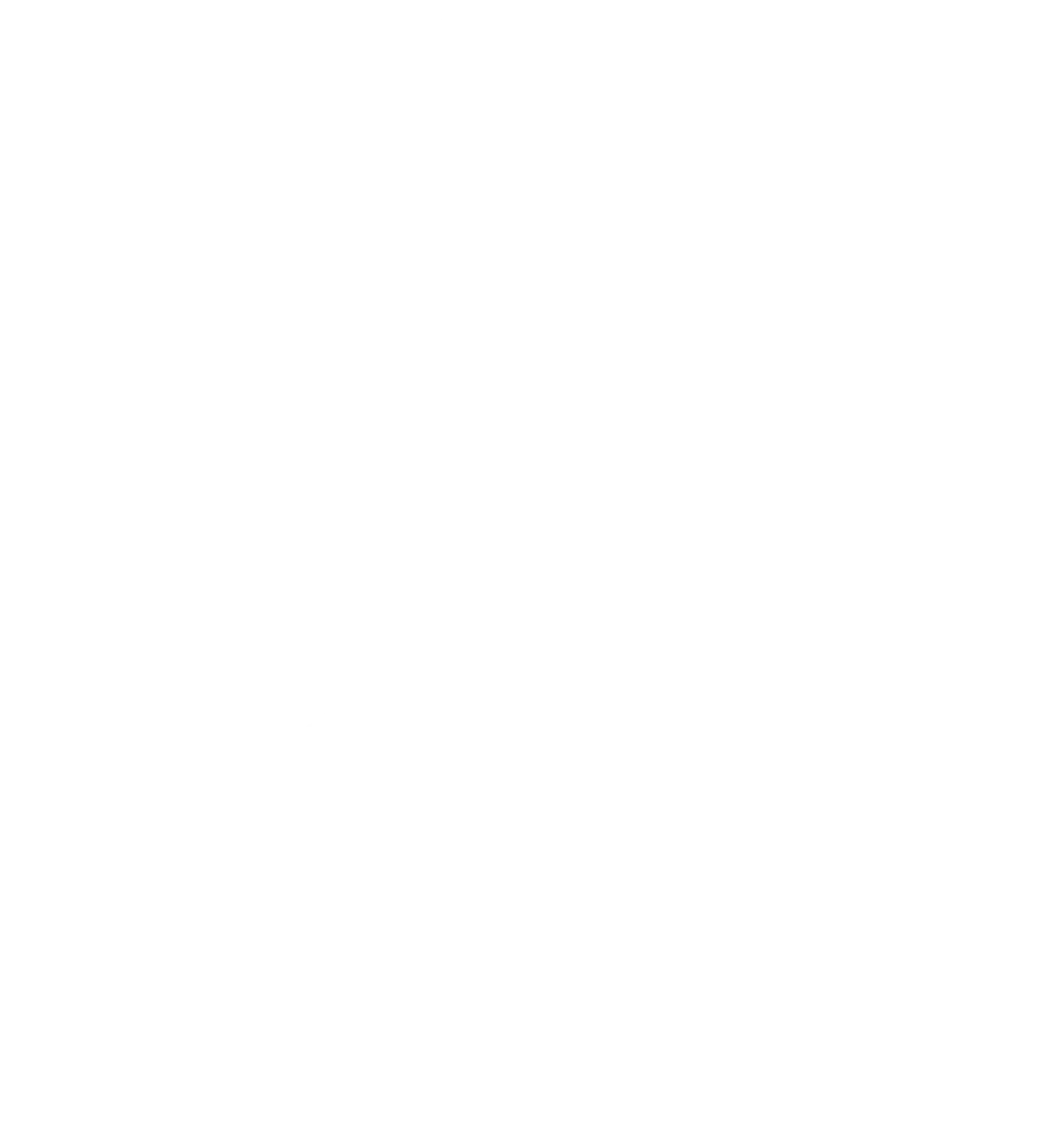 D - S - T - 360 - Reinigungsservice - Symbol